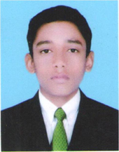 Mohsin Nazir Data Entry