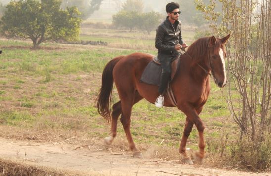 Osama Asghar Profile