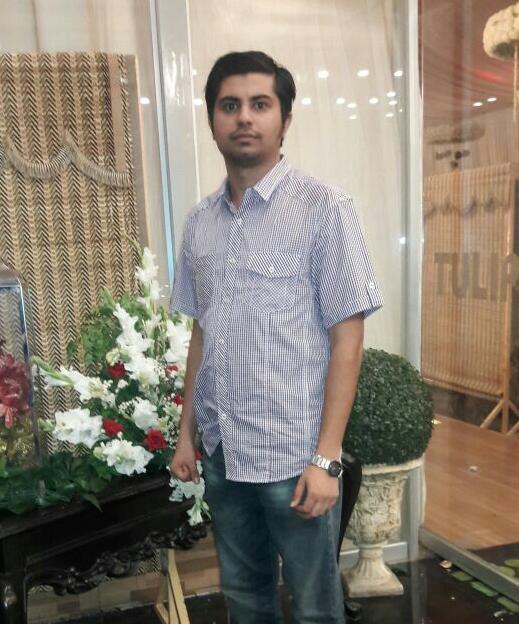 Muhammad Hamza Illustrator, Photoshop, InDesign, Word, Excel