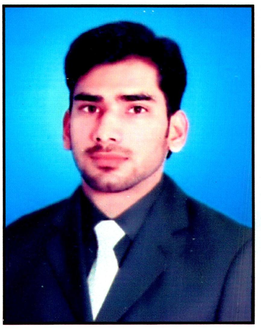 Ameer Hamza Profile Ameer Hamza Profile