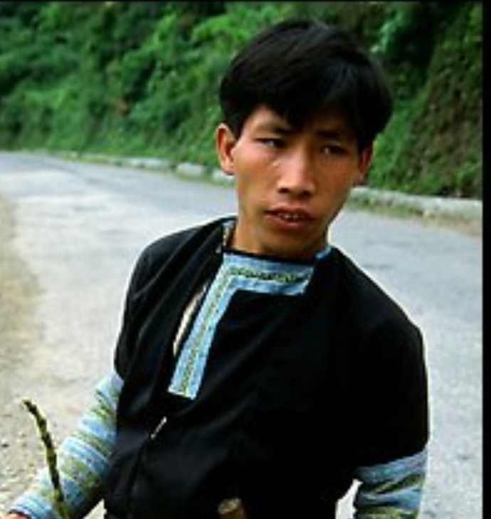 Trellis Lazalo Profile Trellis Lazalo Profile