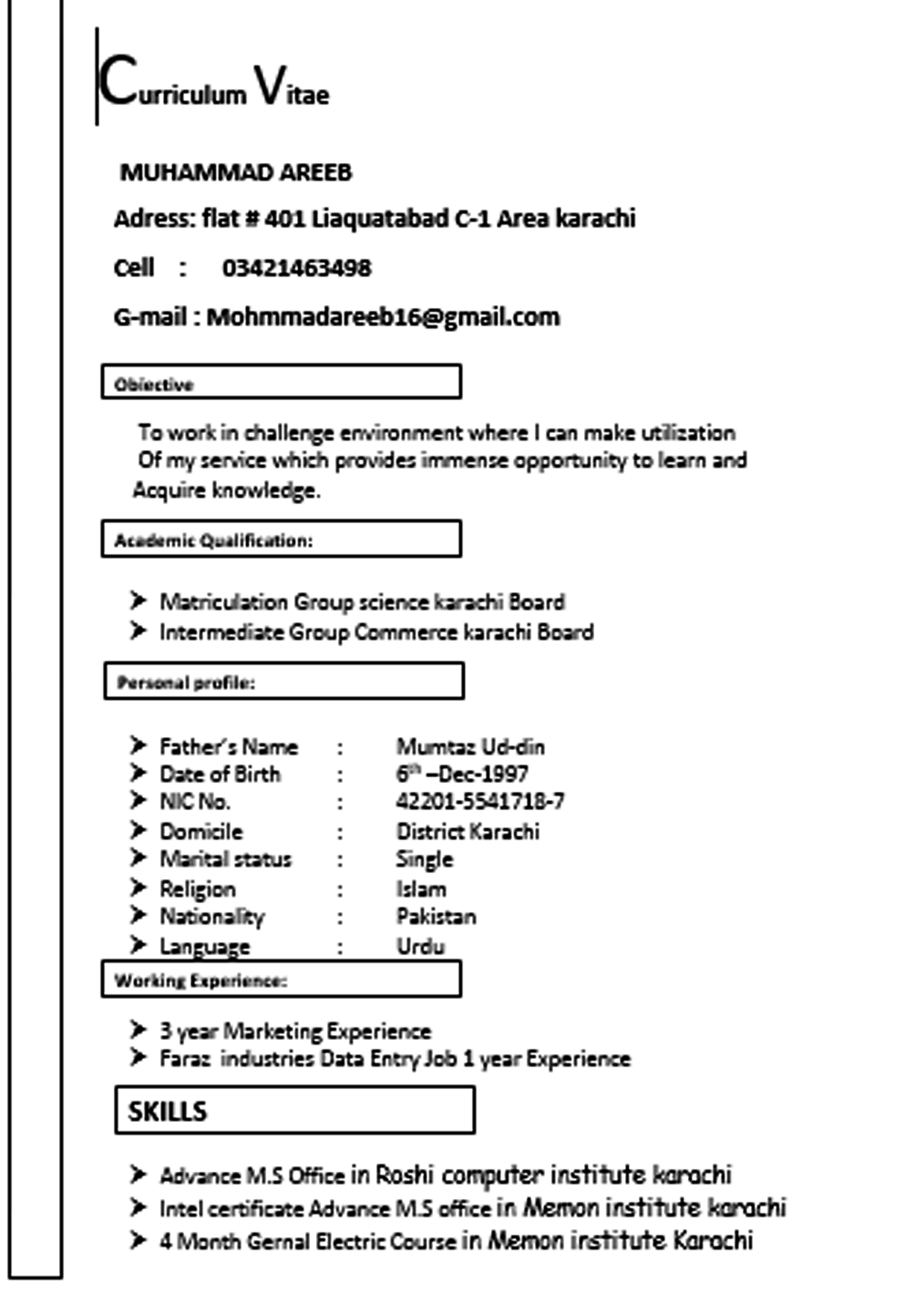 Muhmmad Areeb Photo Editing, Word, Data Processing, Excel, Data Entry