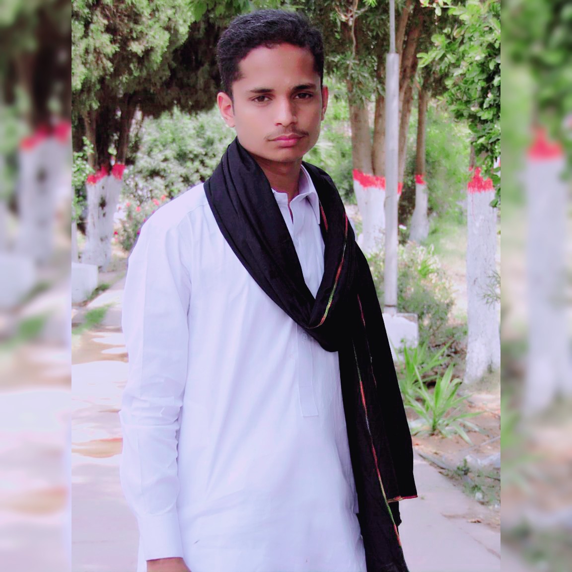 Mohsin Ali Engineering