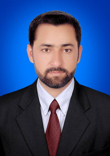 Muhammad Faizan Ali Afridi Project Scheduling