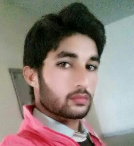 Mudssar Hussain Data Entry