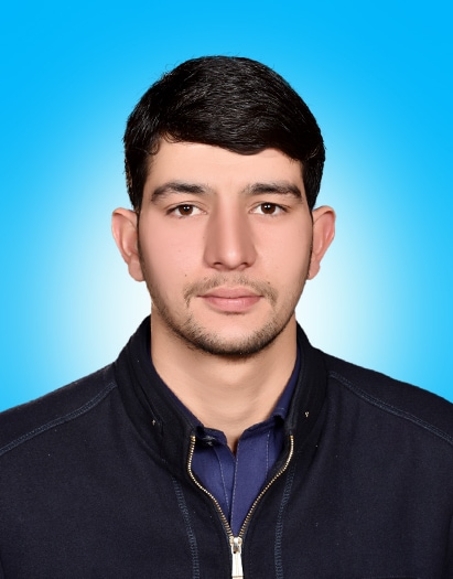 Ali Khan Illustrator, Legal Research, Excel, Web Search