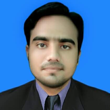 Ali Bhatti Profile Ali Bhatti Profile