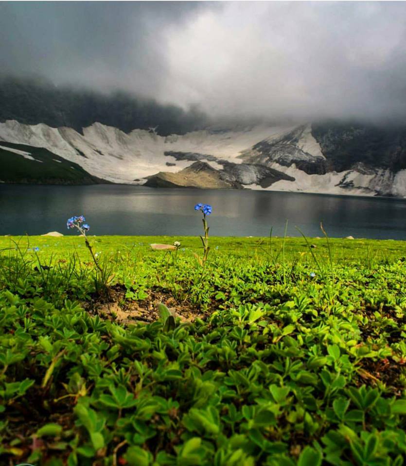 Shoaib Shaukat Profile