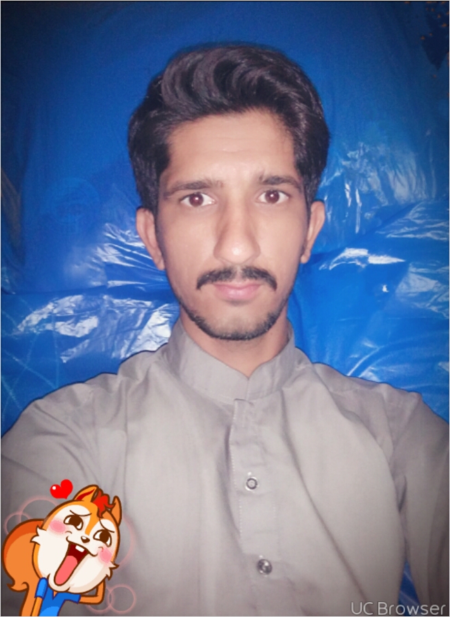 Walid Hassan Presentations, Word, Excel, Engineering