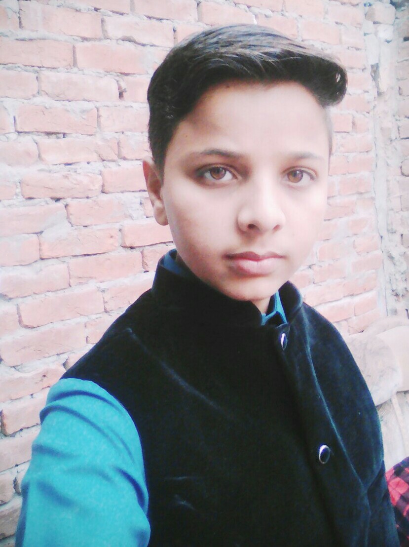 Shah Zaman Mobile Phone, English (UK), Punjabi, Resumes