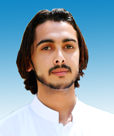 Safiullah Jan Profile Safiullah Jan Profile