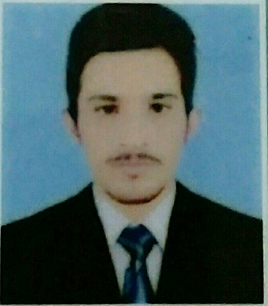 ALI HASSAN Profile ALI HASSAN Profile