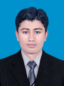 Muhammad Usman Accounting, Management, Human Resources, Finance, Excel