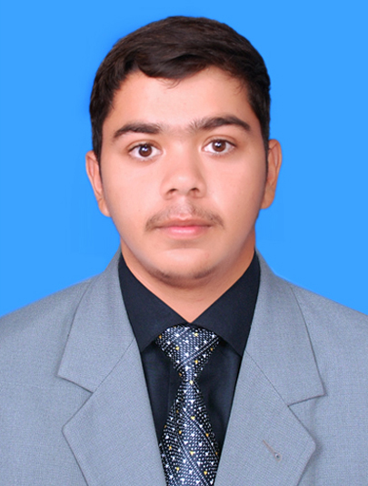 Waqar Ahmad Data Entry, Web Search