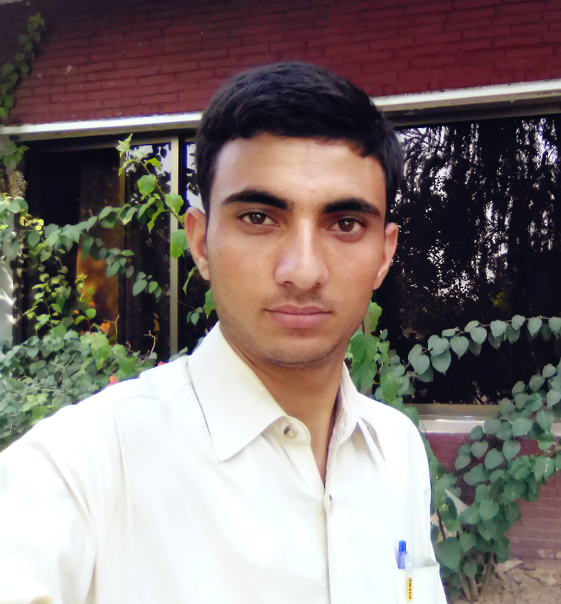 Ali Hasnain Profile Ali Hasnain Profile