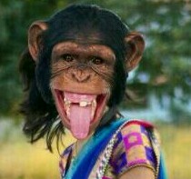 Sufyan Mehar Photo Editing