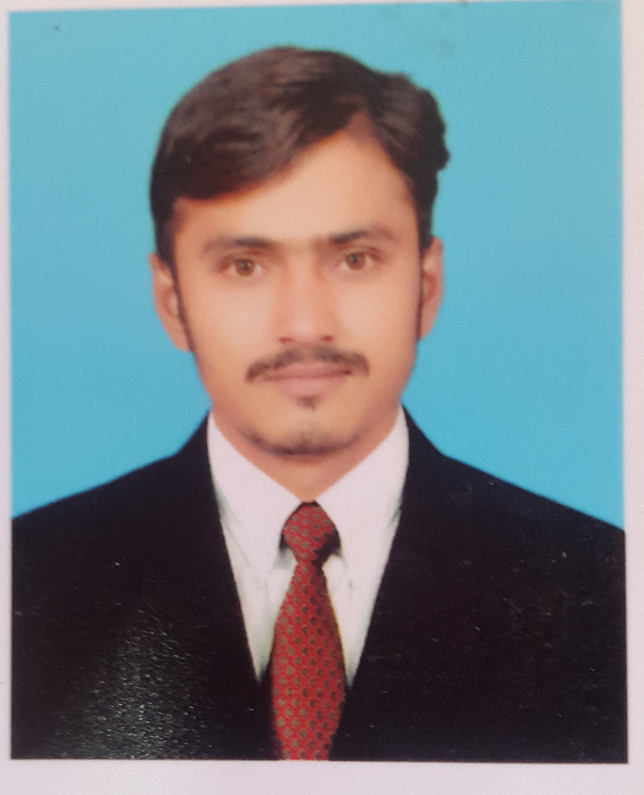 Amir Ali Business Plans