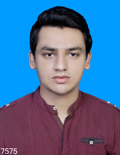 Ali Hassan Word, Accounting, Excel