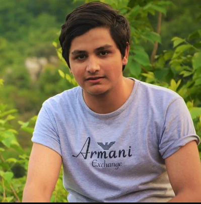 Wasif Daud Data Mining, Algorithm, HTML5, Java, Javascript