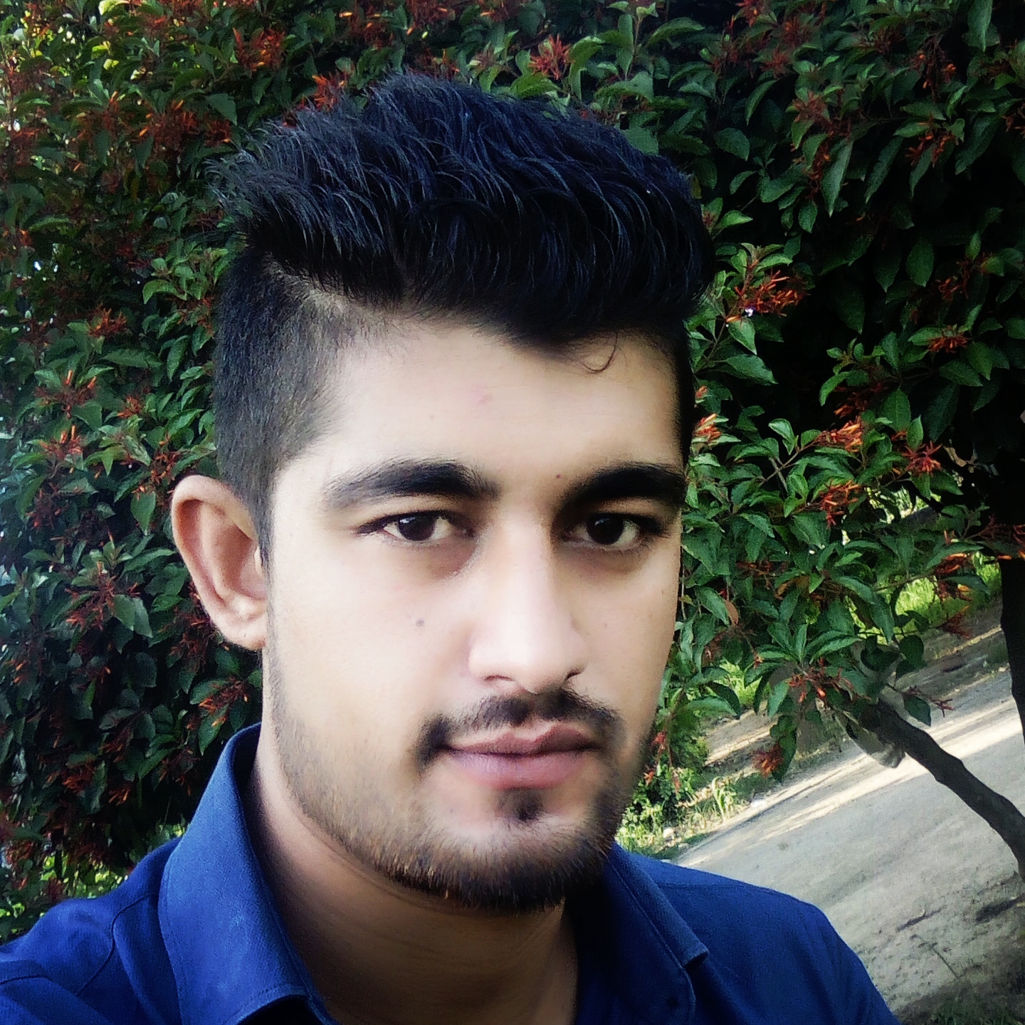 Sikandar Hayat Profile