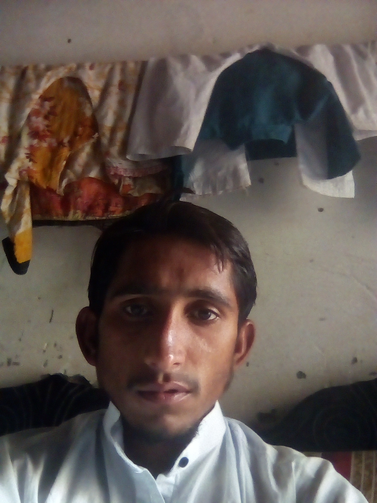 Zulfiqar Ali Profile