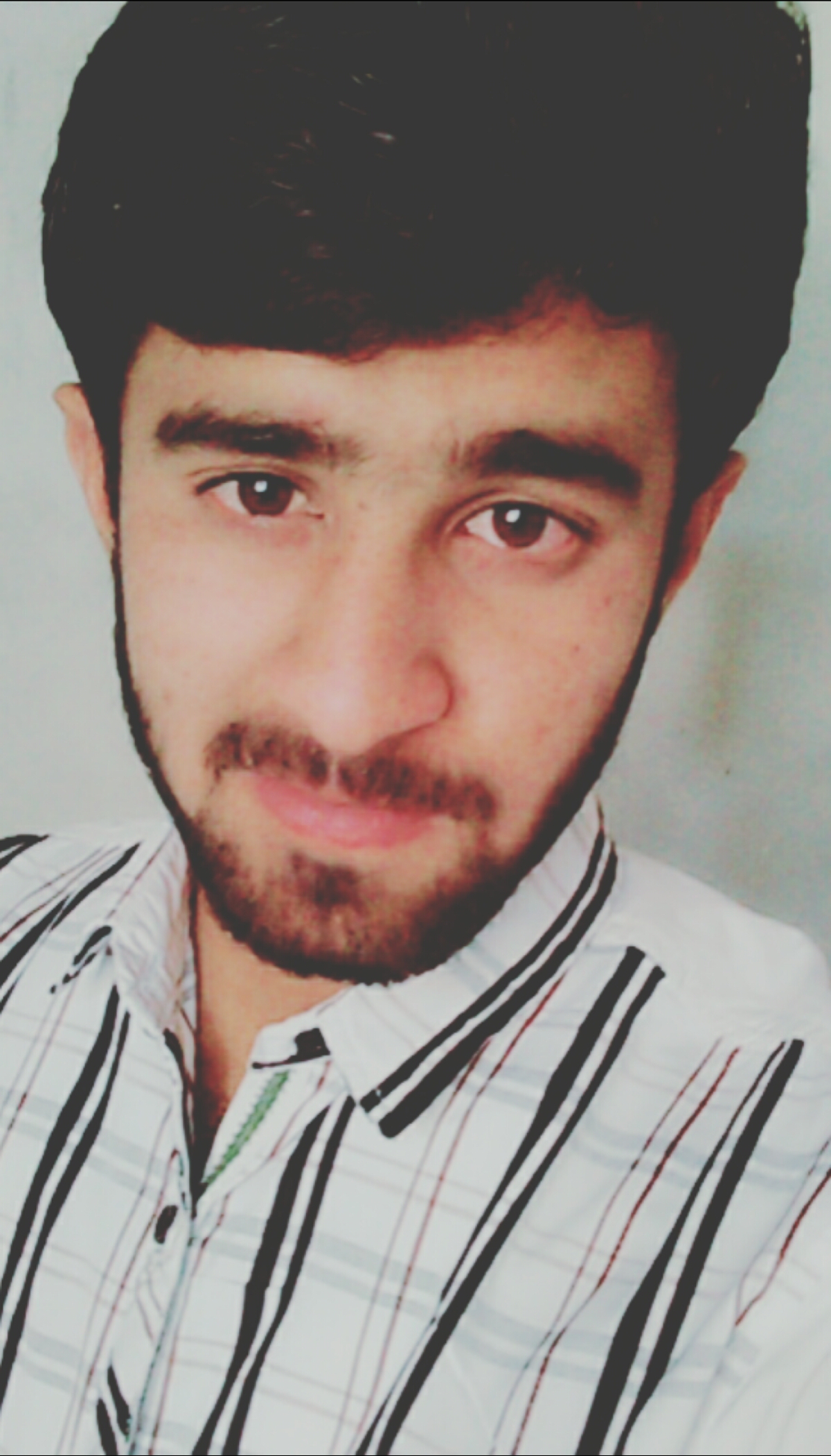 Ahsan Shabbir Profile Ahsan Shabbir Profile