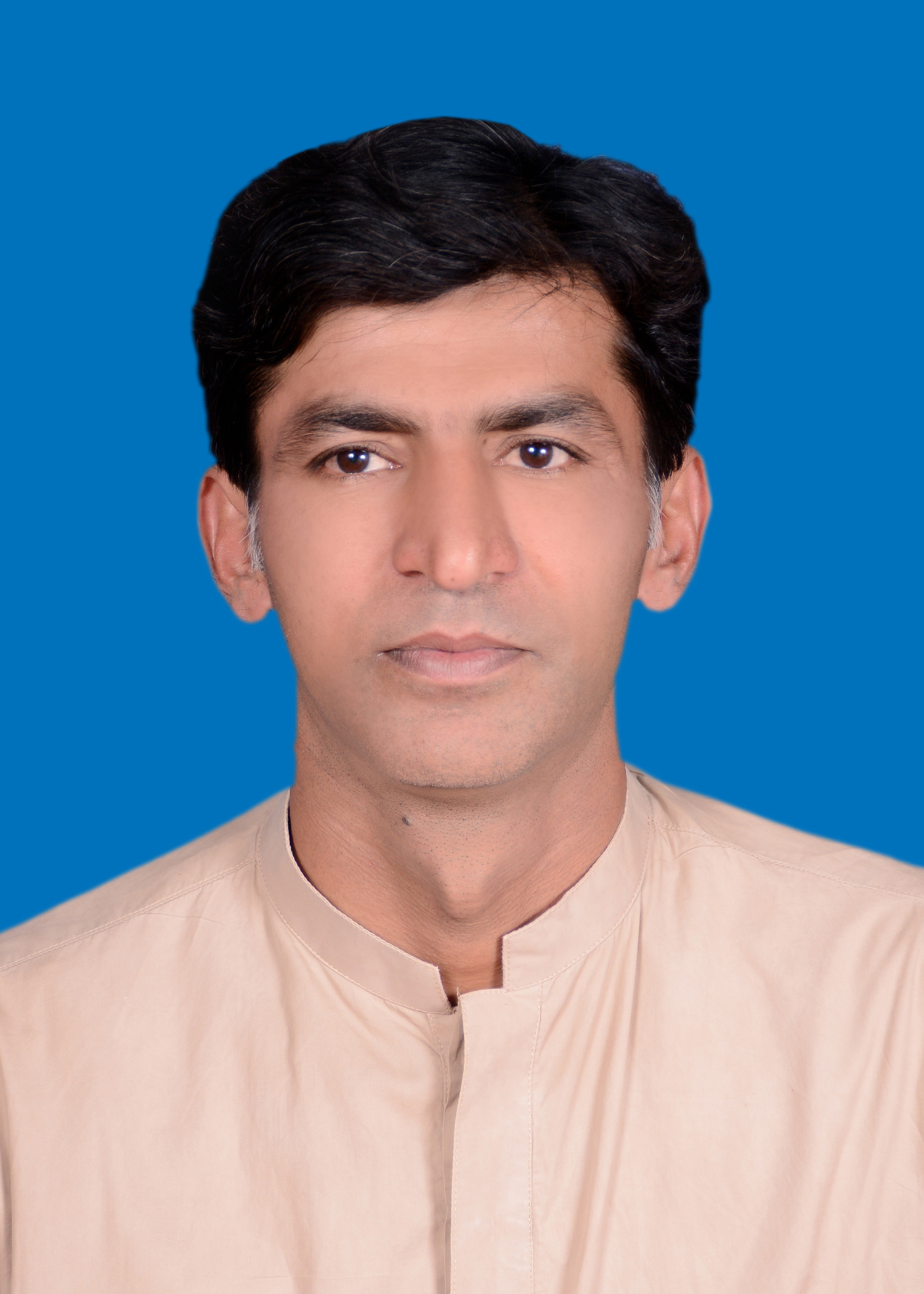 Asghar Shah Illustrator