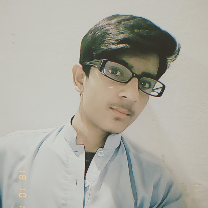 Danish Mehmood Profile