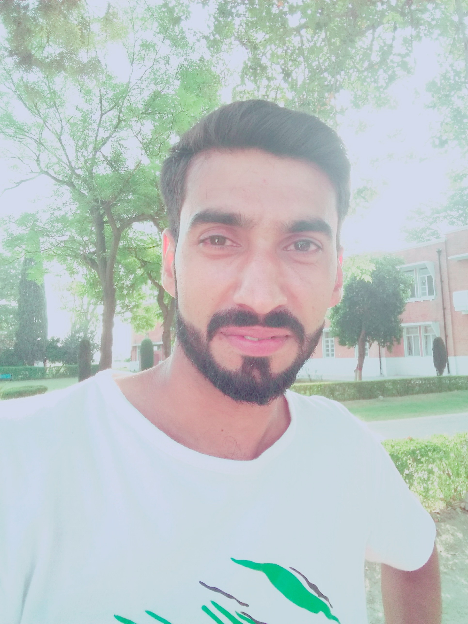 Yasir Pervez Profile