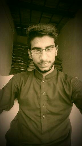 Waqar Qamar Profile Waqar Qamar Profile