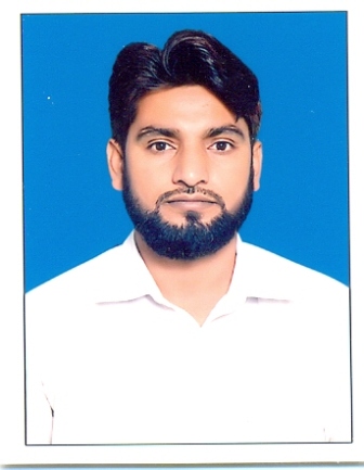 Najeeb Ullah Word, Finance, Excel