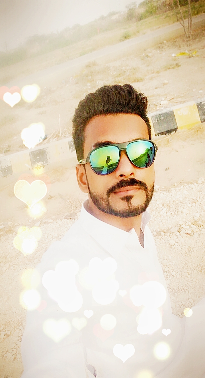 Ali Raza Sagara Accounting, Management, Inventory Management, Finance, Audit