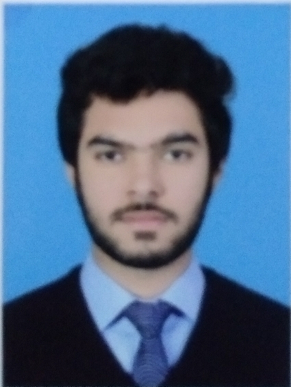 Danish Pirzada Music