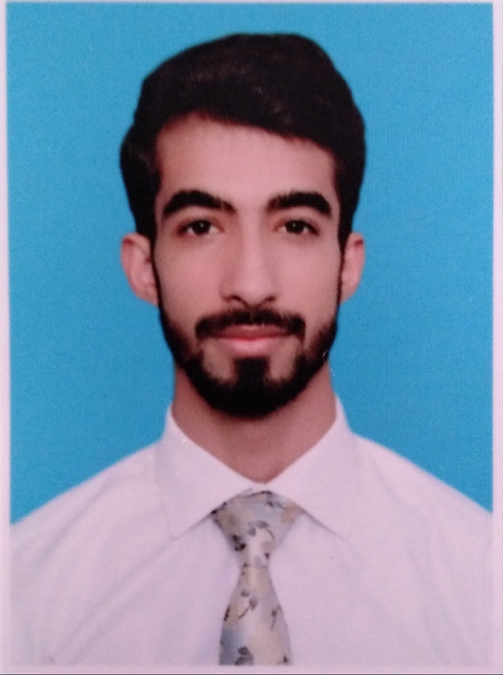 Muhammad Ali Word, Excel, Data Entry, BPO, Education & Tutoring