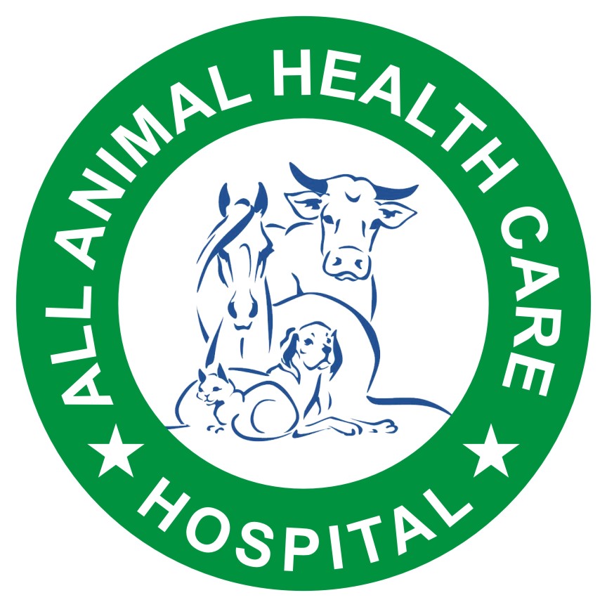 Masroor Ahmed Medical