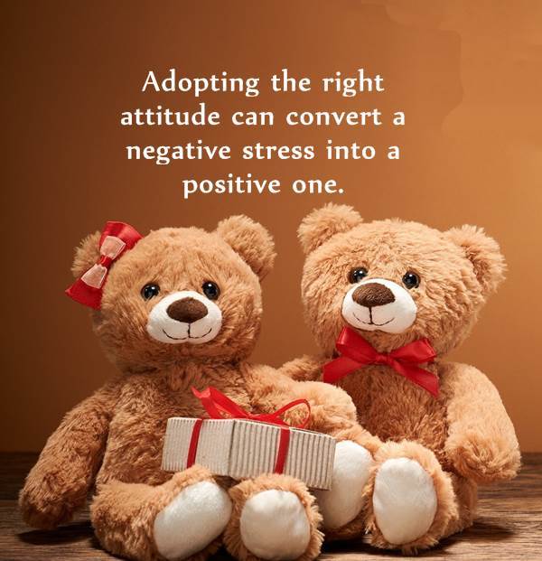 Fahad Razzaq Profile Fahad Razzaq Profile