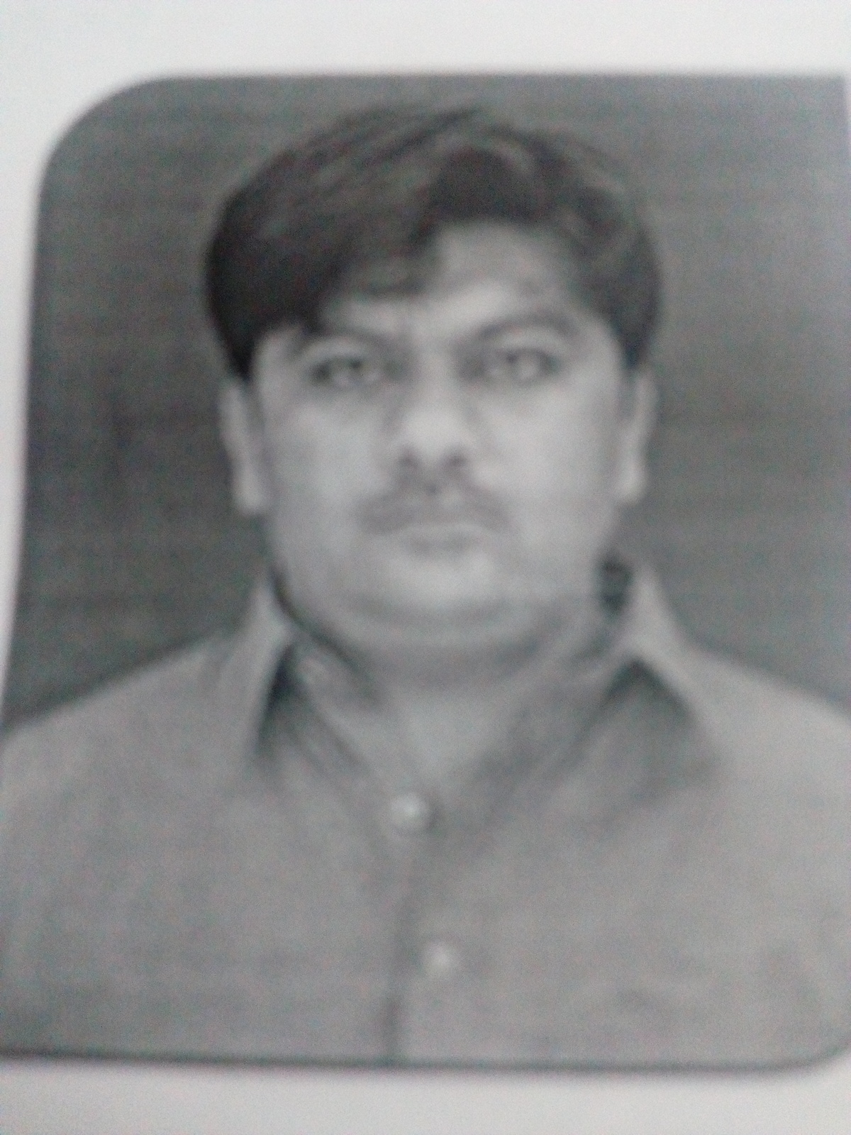 Naveed Ahmed Profile Naveed Ahmed Profile