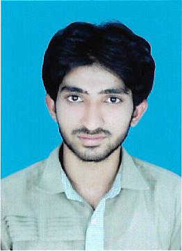 Syed Tahseen Raza Profile