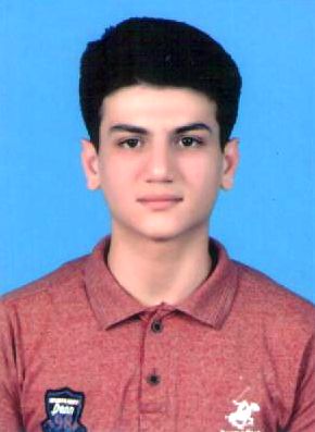 Abdullah Tariq Word, Data Processing, Excel, Technical Support, Algorithm