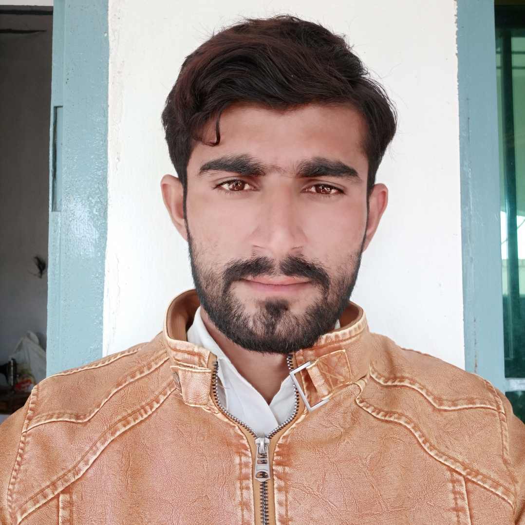 Ameer Hussain Profile