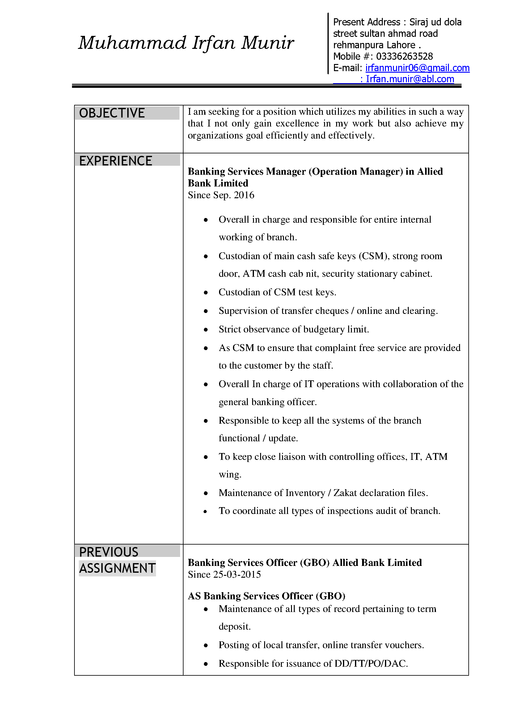 MUHAMMAD IRFAN MUNIR Audit
