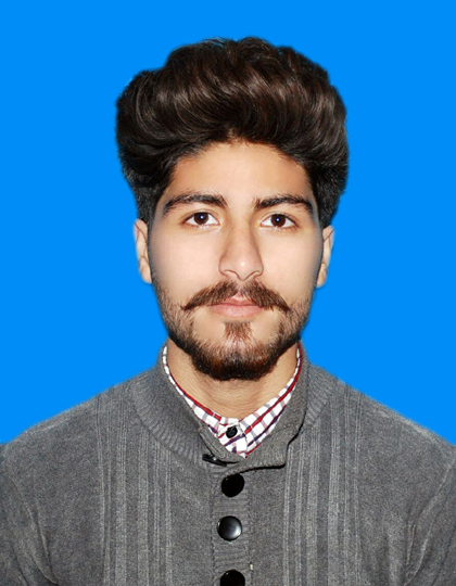 Aman Bin Tahir Photo Editing, Data Entry, Web Search