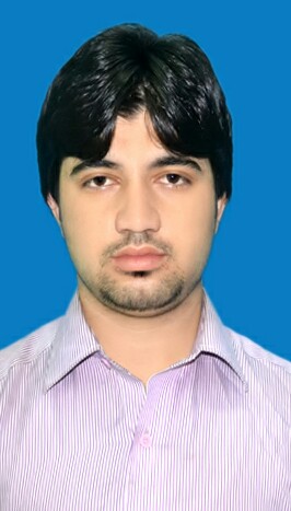Musarat Haider Profile Musarat Haider Profile