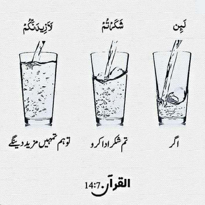 Ashar Ahmad Illustrator