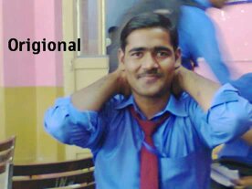 Muhammad Shahbaz Electrical Engineering