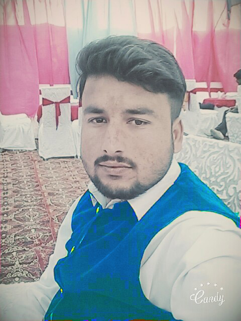 Muhammad Kamran Data Processing, Excel, Data Entry, Article Submission, Product Design