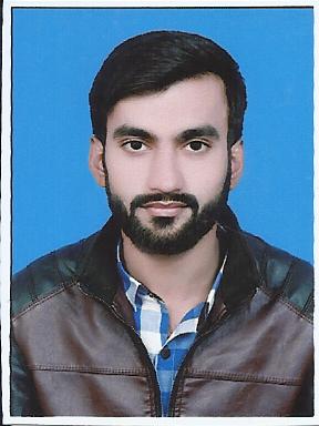 Mohsin Shehzad Excel