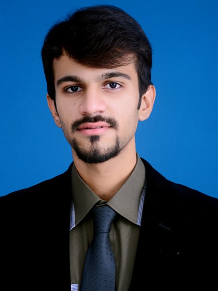 Muhammad Anas Baig Illustrator, 3D Design, 3ds Max, Data Entry, Microsoft