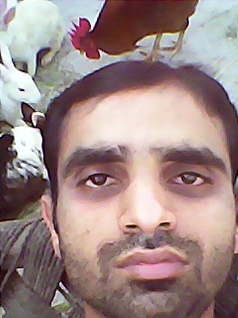 Shoaib Ahmad Accounting