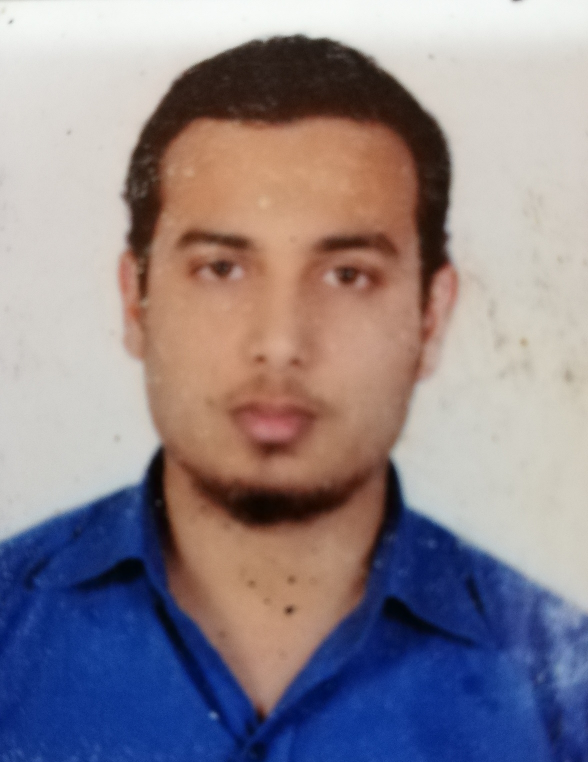 Muhammad Hassam Ansari 